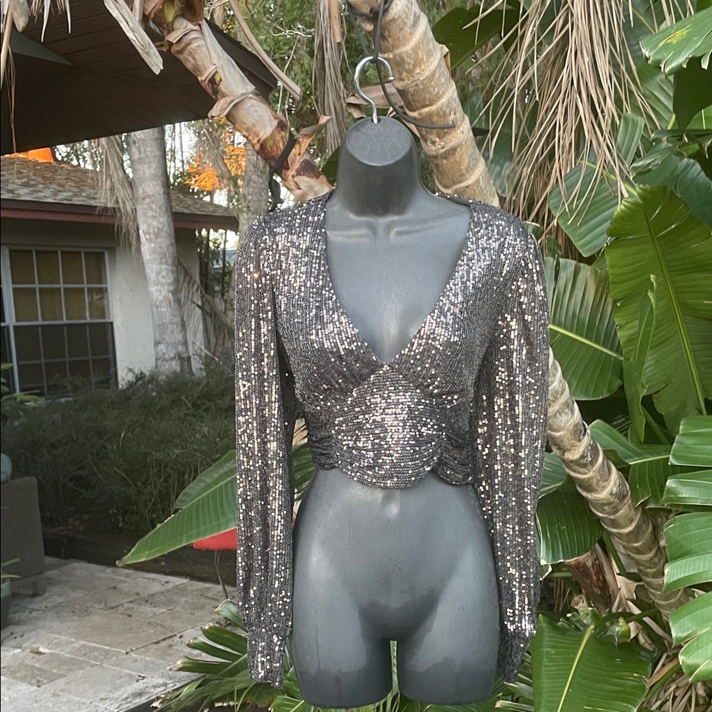 , pewter, silver sequin puff sleeve crop top